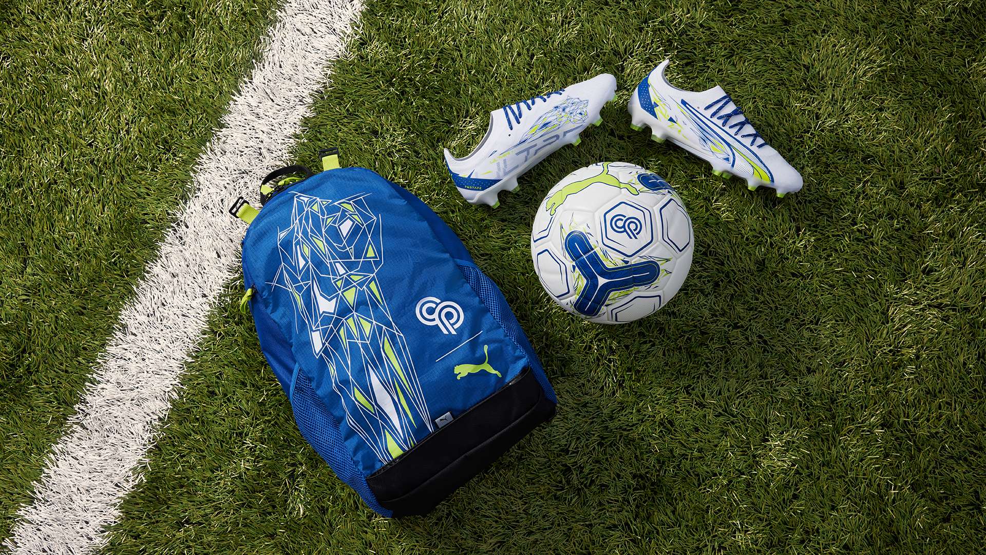 他们的成功 他们的成功