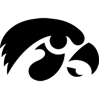 爱好者们树